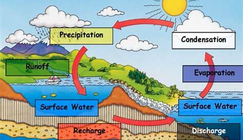 hydrologic cycle worksheet
