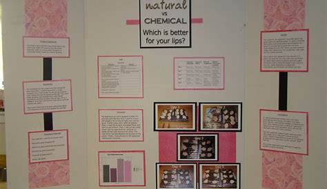 The days and nights of a VERY busy Mom: Science Fair...and the many