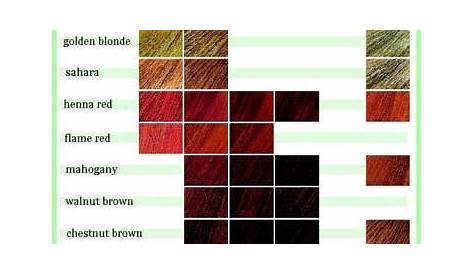 All Your Hair Style: Revlon Hair Color Chart