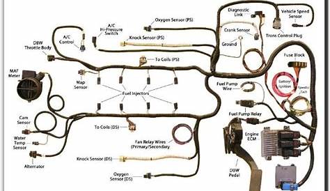All Custom Gen IV Wire Harnesses are professionally built to excede OEM