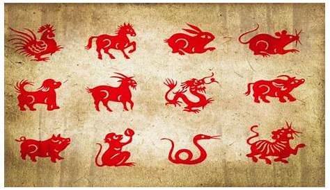 Zodiac Sign Spirit Animal Decoded! Find Out Who You Are - eAstroHelp