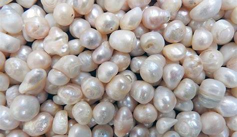 freshwater pearl value chart