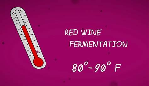 wine fermentation temperature chart