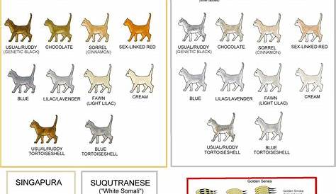 cat colours diagram chart Cat Meow Meaning, Cat Colors, Colours, Cat