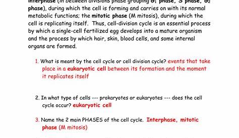 the cell cycle mitosis worksheet
