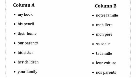 adjectives possessive in french