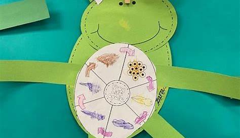 Learning About Pond Life Craft Activity for Preschoolers. TeachersMag.com