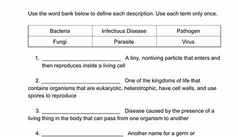 Immune System Vocabulary Quiz