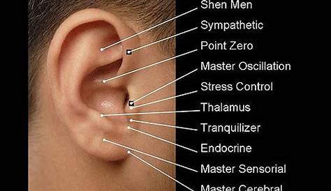 ear piercing chart for weight loss