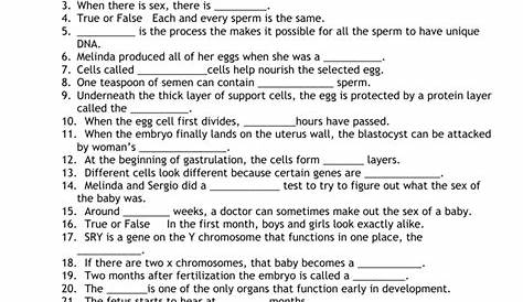 miracle movie worksheet answers