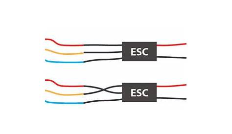 esc in drone full form