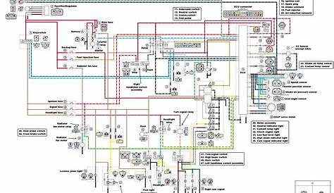 250 Light Wiring Diagram