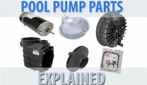 Pool Pump Parts Explained - InTheSwim Pool Blog