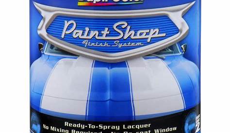Dupli-Color BSP204 Dupli-Color Paint Shop Finish Systems | Summit Racing