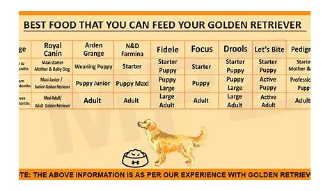 golden retriever feeding chart by age