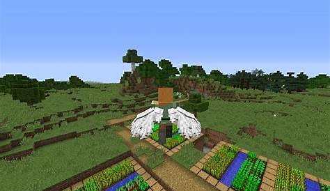 wings for minecraft