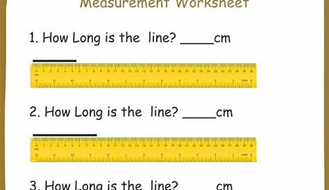 measurement worksheet for students