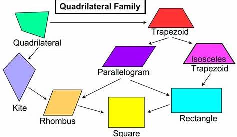 non regular quadrilateral