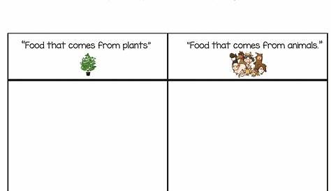 food kindergarten worksheet
