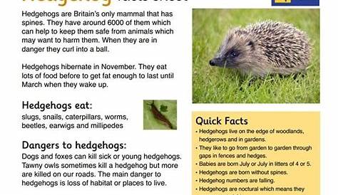 animal facts sheets for kids