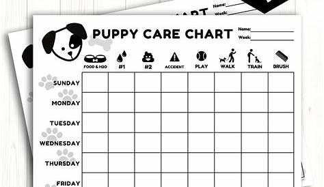 Puppy Schedule, New Puppy Checklist, Kids Schedule, Potty Training