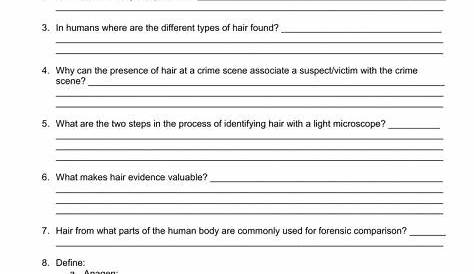 forensic science matching worksheet