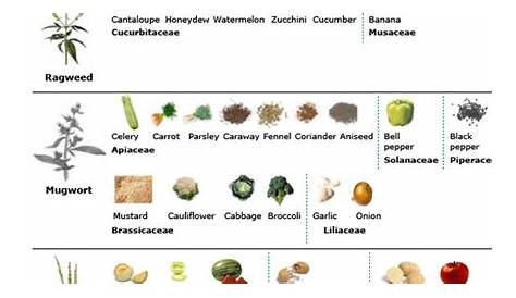 food allergy cross reactivity chart