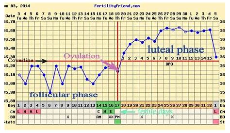 BBT Chart | Basal Body Temperature Chart | BBT Chart For Ovulation