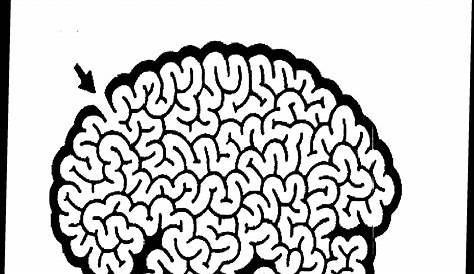 Brain Worksheet Coloring Pages