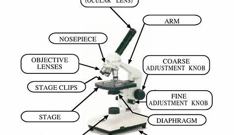 Microscope Mania Micro Review Act