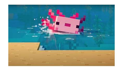 what do axolotls eat in minecraft to breed
