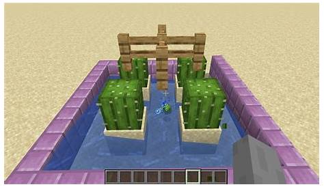 how to build an automatic cactus farm