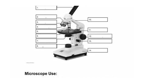 microscope lab worksheet
