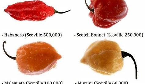 117 best Hot Peppers & Sweet Peppers seed Varieties images on Pinterest
