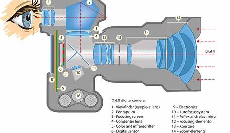 Parts of a Camera. Understanding How Digital Camera Works