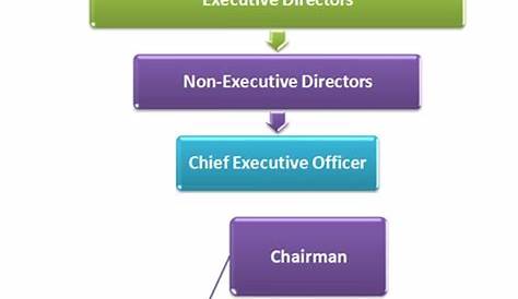 Board Directors Corporate Hierarchy | Corporate Org Chart with Board of