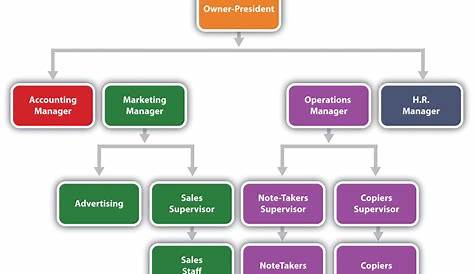 what does an organizational chart show employees
