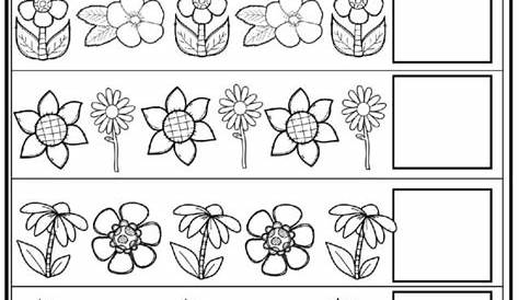 flowers worksheet for kindergarten