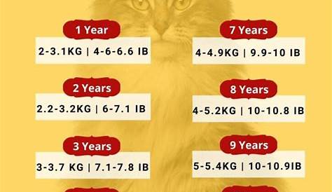healthy weight cat chart