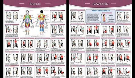 Functional Trainer Fitness Instructional Wall Chart 2-Poster Combo