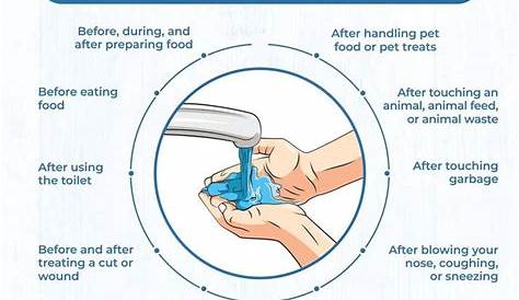 nhs hand washing diagram