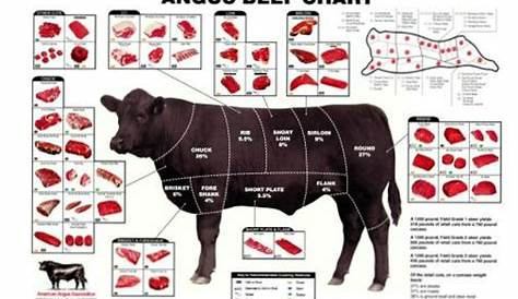 chart of meat cuts