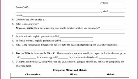 mitosis reading comprehension worksheet