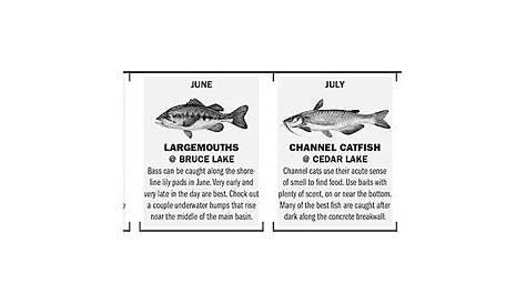 indiana fish identification chart