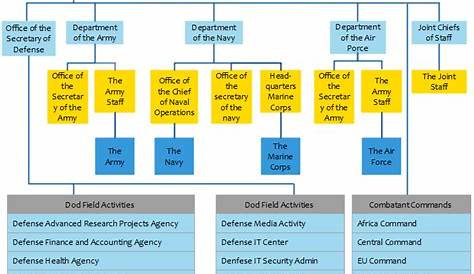 DOD ORG CHART Example