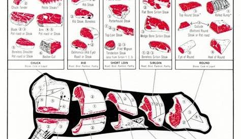 Cow Meat Cuts Diagram
