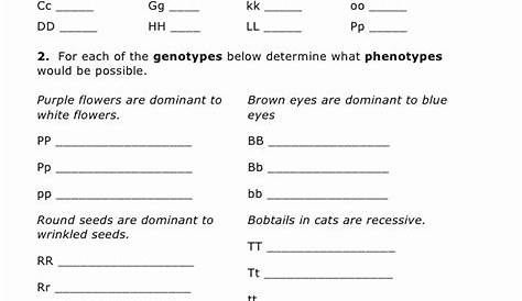 50 Genetics Practice Problems Simple Worksheet
