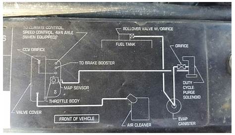 2011 jeep wrangler evap system diagram