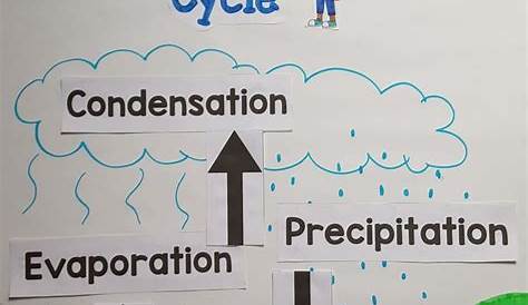 water cycle anchor chart