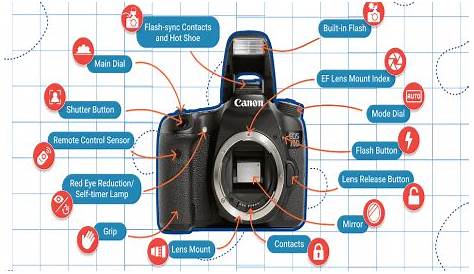 simple diagram of a camera